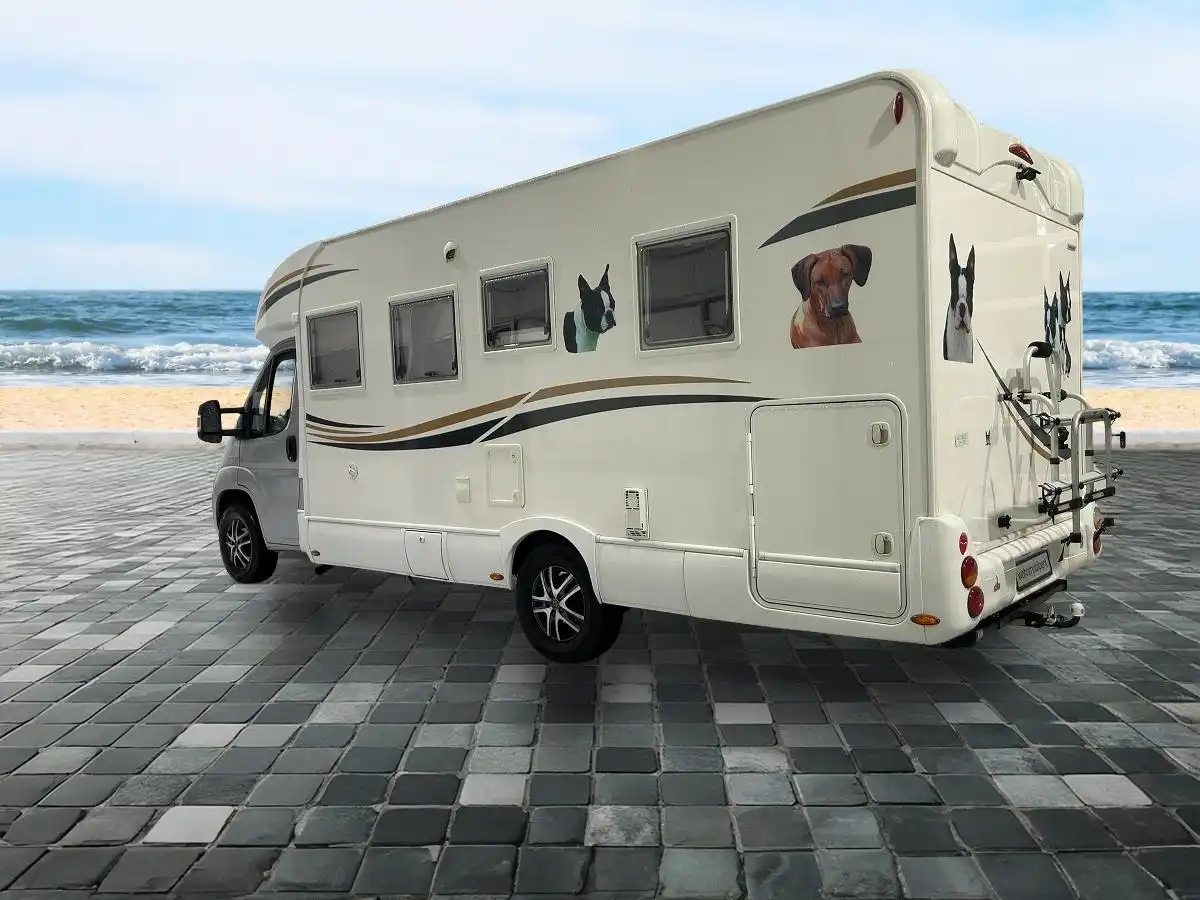 XGO Coupe 302 - Ansicht 4